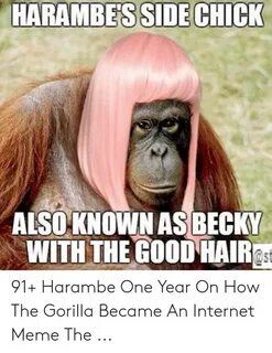 HARAMBES SIDE CHICK ALSO KNOWN AS BECKY WITH THE GOOD HAIR 9