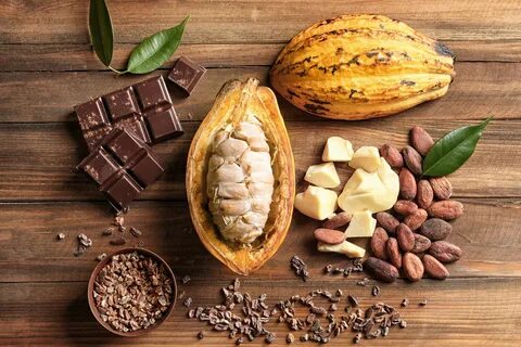 Как из какао-бобов делают шоколад (часть 2) Блог Torrefacto