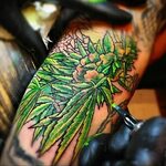 tattoo on the arm of marijuana 30.09.2019 № 019 -hemp (MARIJ