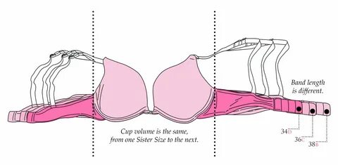 Sister Size Sister bra sizes, Sisters, My sister