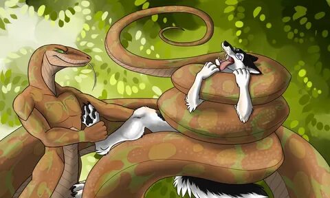 The Big ImageBoard (TBIB) - canine mammal naga reptile scali