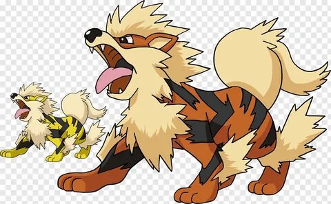 Lion Arcanine Pokémon Yellow Pokémon FireRed and LeafGreen, 