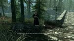 Offering Black Briar Mead to the Revelers in Skyrim - YouTub