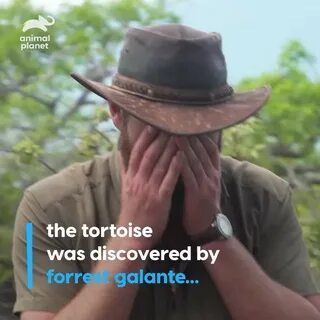 Forrest Galante (@forrest.galante) — Instagram