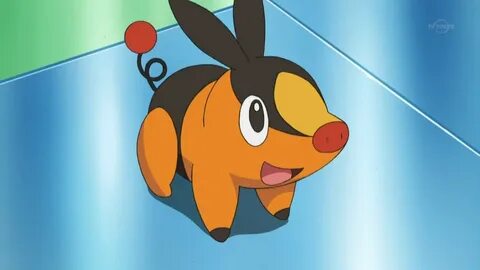 Same Pic Of Tepig (@Samepicoftepig) / Твиттер