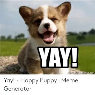 Yay! - Happy Puppy Meme Generator Meme on ME.ME