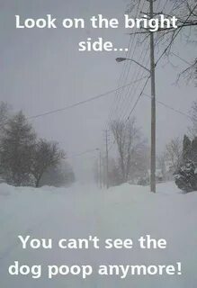 Top 27 Minnesota memes Winter (With images) Winter humor, Sn