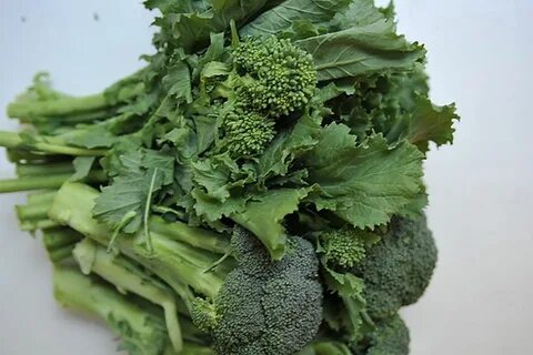 13 Types Of Greens To Nourish Up Your Meals Techno FAQ