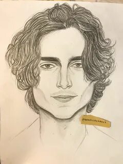 Timothee Chalamet drawing Art sketches, Sketches, Drawings