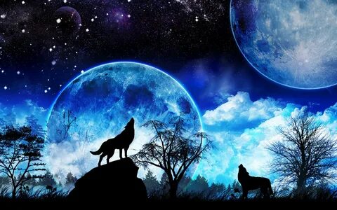 Wolf Howling At The Moon Wallpapers (74+ background pictures