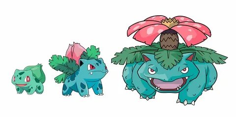 Venusaur Evolution Related Keywords & Suggestions - Venusaur