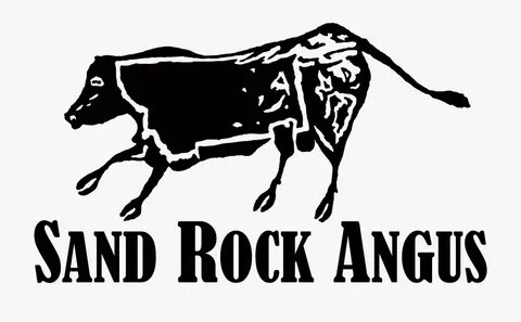 Angus Bull Clipart - Cattle , Transparent Cartoon, Free Clip