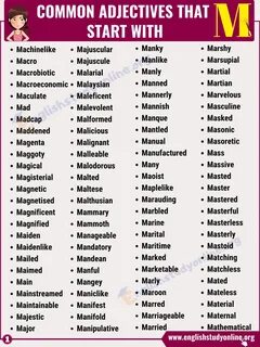300 Trendy Adjectives That Start with M You Should Learn - English Study On...