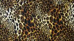 Фон леопард зеленый (138 фото) " ФОНОВАЯ ГАЛЕРЕЯ КАТЕРИНЫ АС