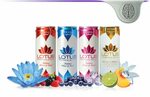 Lotus Elixirs Review - Botanically Crafted Superfood Beverag