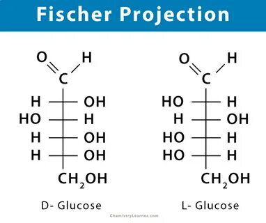 Fischer Projection: Definition, Illustration, and Examples