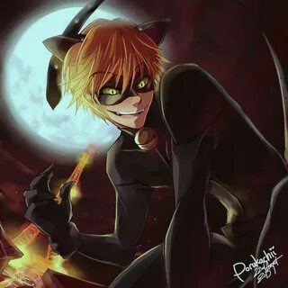 Cat noir *Miraculous Ladybug Español* Amino