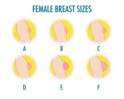 Set of round line icons of different female breast size, body side view. 