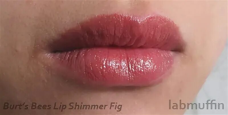 Does Burt S Bees Lip Balm Dry Out Lipsticks Lips Makeupview