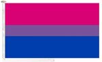 Bisexual Flag Sticker - Outloud