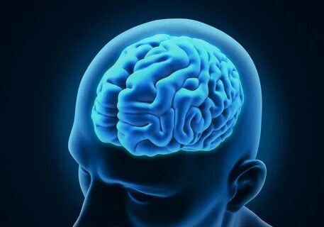 Research Uncovers Long-term Impact of Traumatic Brain Injury
