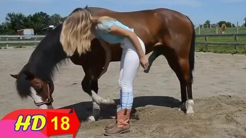 LIVE: A Girl And A Horse - Fantastic!! How To Teach Your Hor