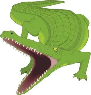 3D Illustration of an Alligator Diving Under Water Isolated 