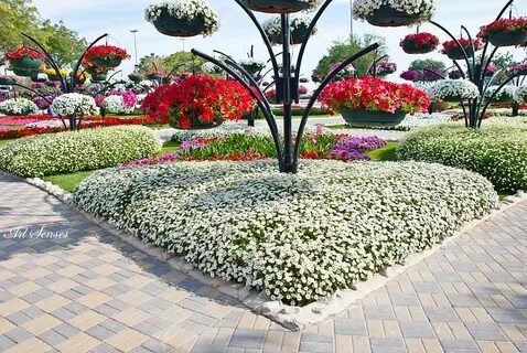 Al Ain Paradise Gardens Art senses - artistic ideas for inte