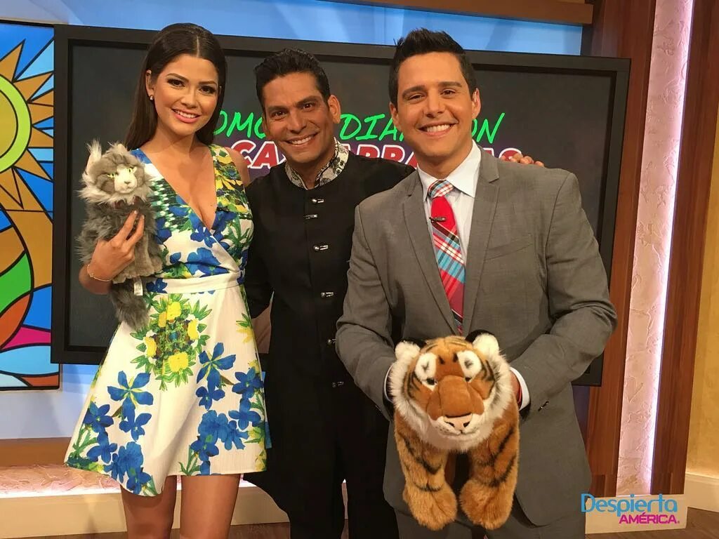 Despierta America в Instagram: "Si nos sabes cómo lidiar con los casca...