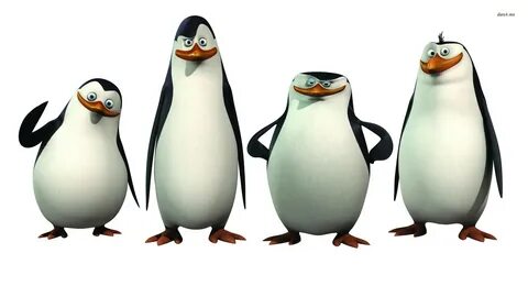 Cartoon Penguin Wallpapers Wallpapers - Most Popular Cartoon