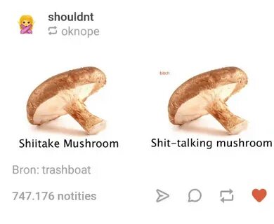 Shouldnt Oknope Shiitake Mushroom Bron Trashboat 747176 Noti