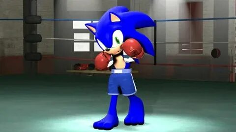 Sonic Anthro Fighting League Amino