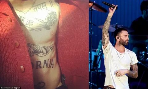 Adam Levine’s Tattoos, Brother and House " Wikibery