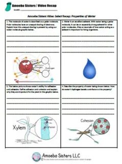 Properties of Water- SELECT Recap Handout + Answer Key by Am