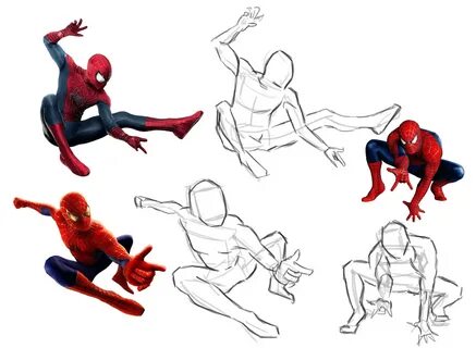 SpiderMan Drawing Reference and Sketches for Artists