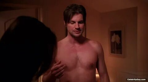 Free Gale Harold Nude (60 Photos) The Celebrity Daily