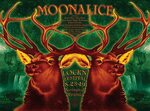 2019-08-23 @ LOCKN' Festival - Moonalice Big Band with New C