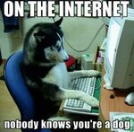 On the internet nobody knows you’re a dog by Celina Morris R