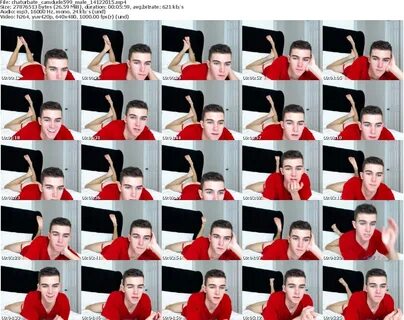 Webcam Archiver - Download File: chaturbate camdude599 from 