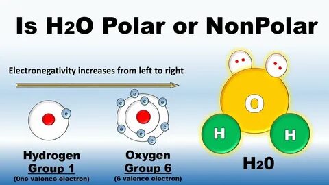 Is H2O Polar or Nonpolar ( in Urdu / Hindi) Covalent Bond #C