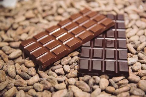 Чем же опасен шоколад? Секреты и советы жизни Яндекс Дзен