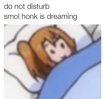 do not disturb small honk is dreaming Smol Know Your Meme