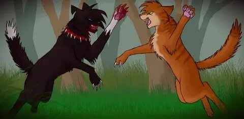 Warrior cats with scourge vs firestar