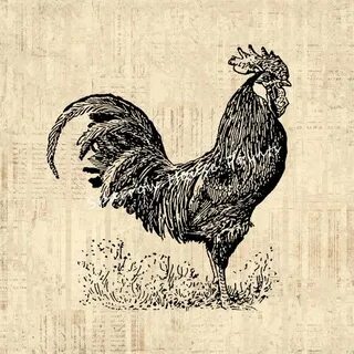 Antique Rooster Print Vintage Artwork Farm by SparrowHousePr