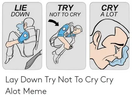 🐣 25+ Best Memes About Lay Down Try Not to Cry Cry a Lot Mem