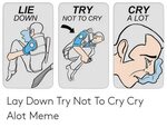 🐣 25+ Best Memes About Lay Down Try Not to Cry Cry a Lot Mem