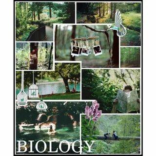 "biology binder cover" by jillianwasahurricane on Polyvore B