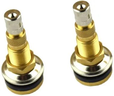 Dolity 2pcs TR618A Tractor Air Tire Water Valve 2021 spring 