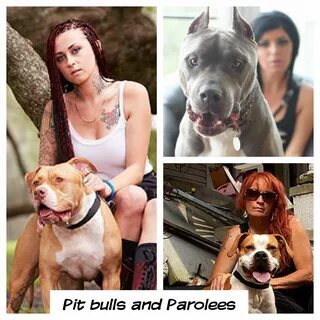 Pit bulls and parolees ,Saturday at 10:00pm on animal planet