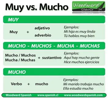Правильное употребление Muy и Mucho в испанском языке